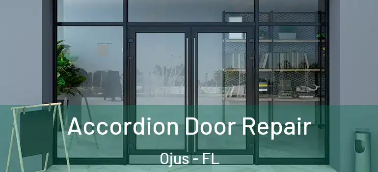 Accordion Door Repair Ojus - FL