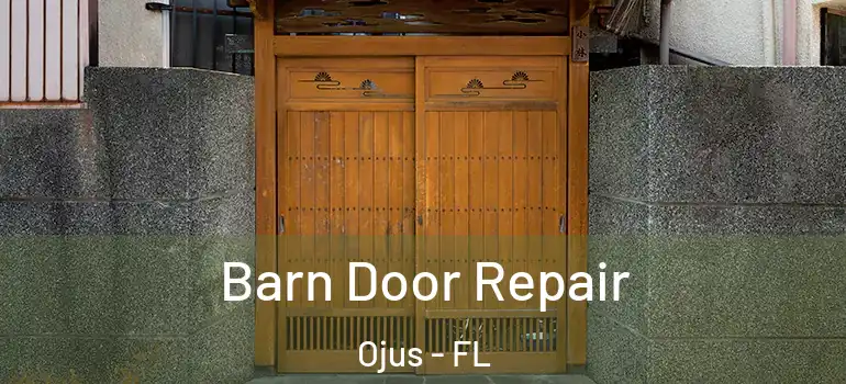 Barn Door Repair Ojus - FL