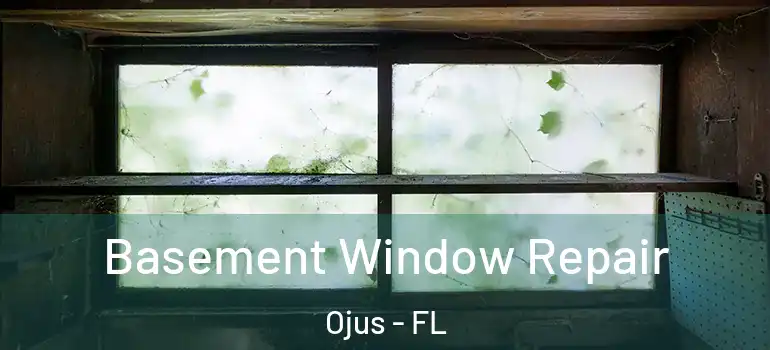Basement Window Repair Ojus - FL
