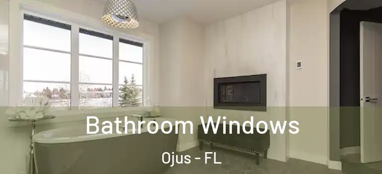 Bathroom Windows Ojus - FL