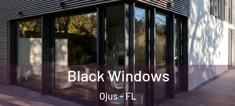 Black Windows Ojus - FL
