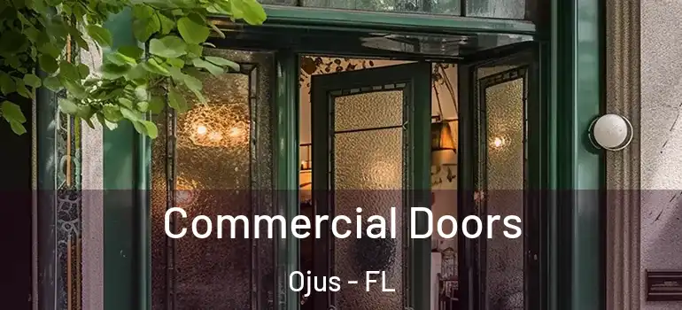 Commercial Doors Ojus - FL