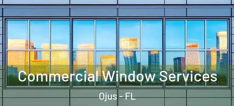 Commercial Window Services Ojus - FL