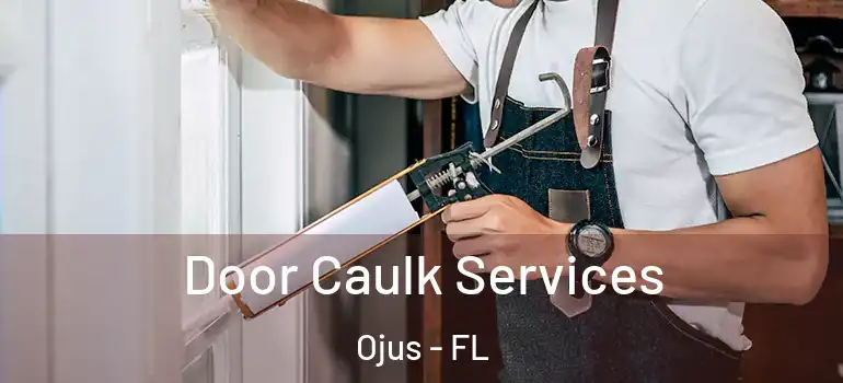 Door Caulk Services Ojus - FL