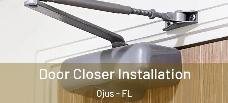 Door Closer Installation Ojus - FL