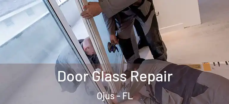 Door Glass Repair Ojus - FL