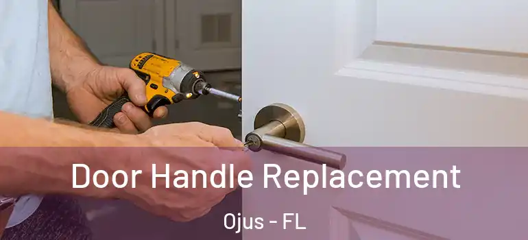 Door Handle Replacement Ojus - FL