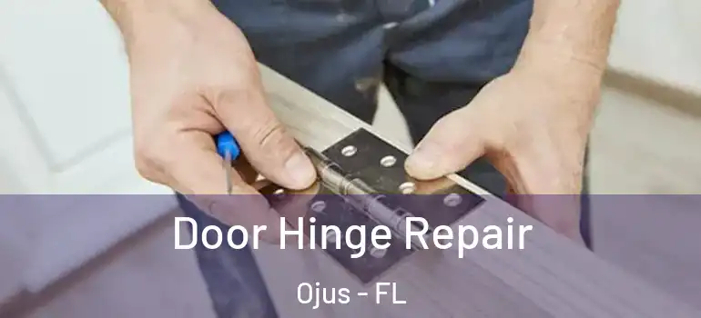 Door Hinge Repair Ojus - FL