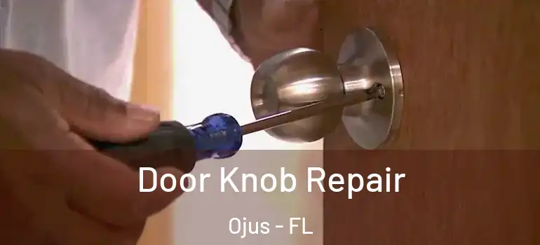 Door Knob Repair Ojus - FL