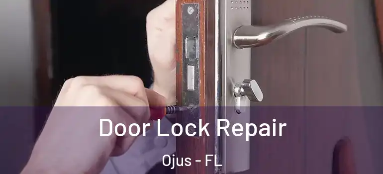 Door Lock Repair Ojus - FL