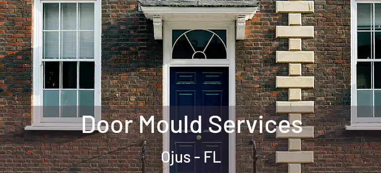 Door Mould Services Ojus - FL