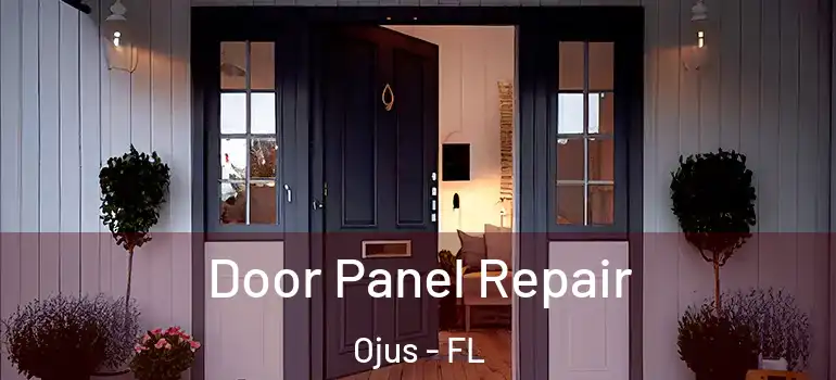 Door Panel Repair Ojus - FL