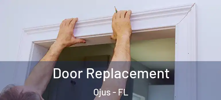 Door Replacement Ojus - FL