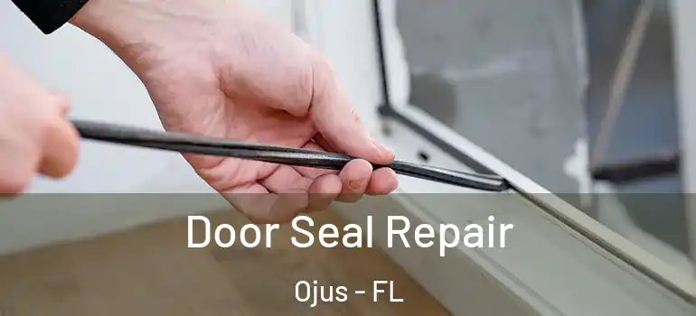 Door Seal Repair Ojus - FL
