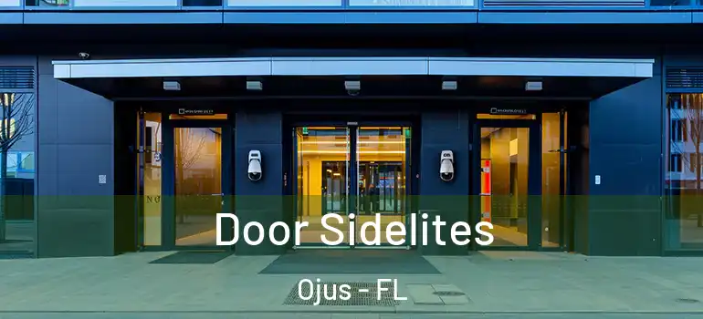 Door Sidelites Ojus - FL