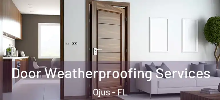 Door Weatherproofing Services Ojus - FL