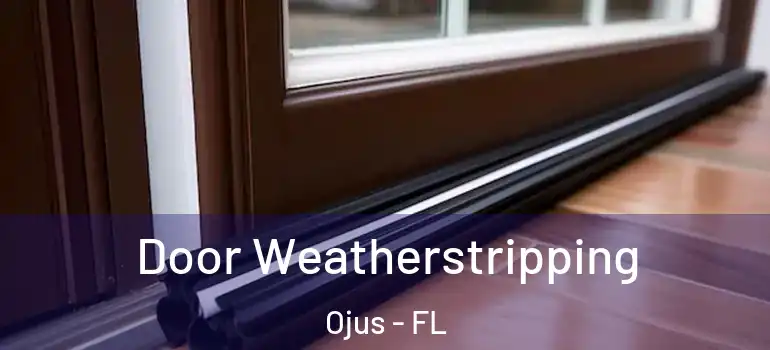 Door Weatherstripping Ojus - FL