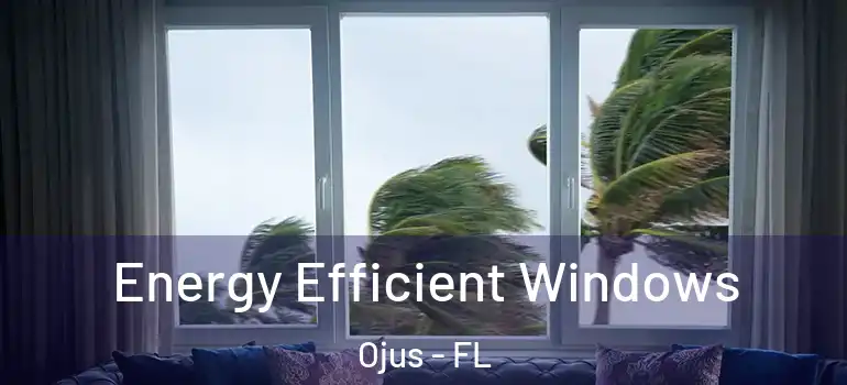 Energy Efficient Windows Ojus - FL