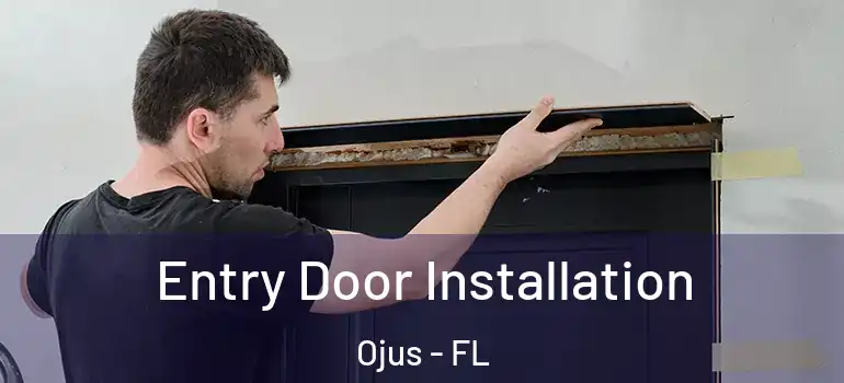 Entry Door Installation Ojus - FL