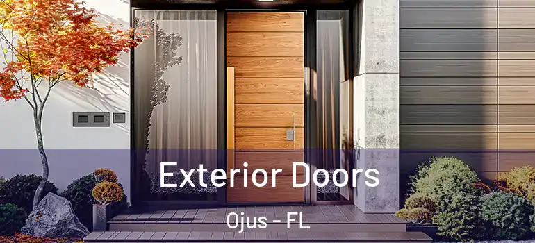 Exterior Doors Ojus - FL
