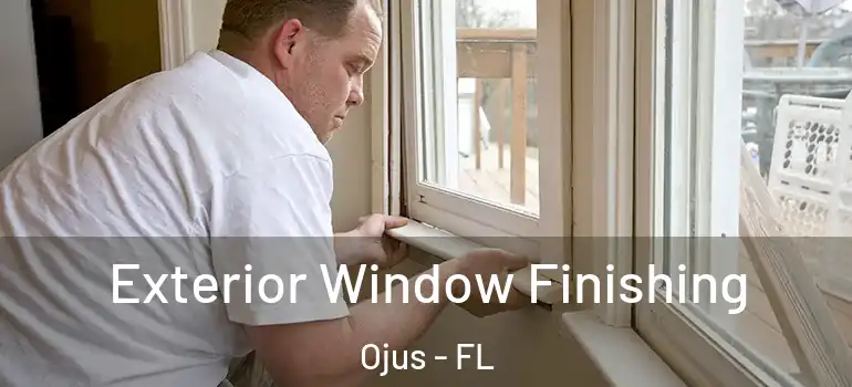 Exterior Window Finishing Ojus - FL