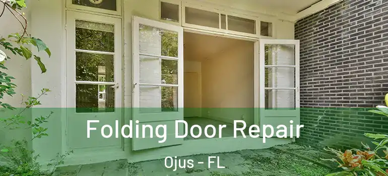 Folding Door Repair Ojus - FL