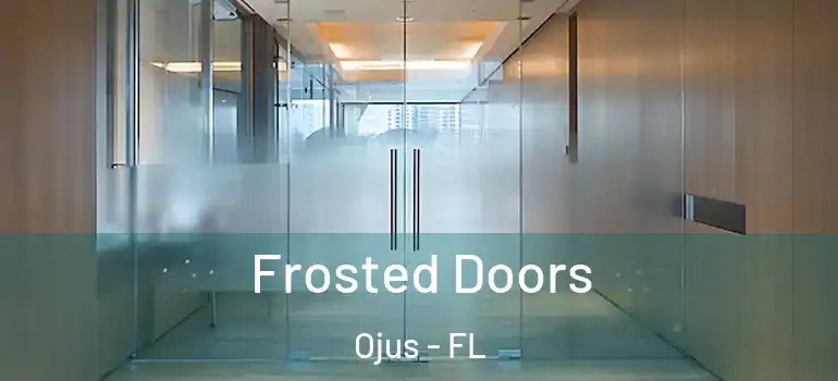 Frosted Doors Ojus - FL