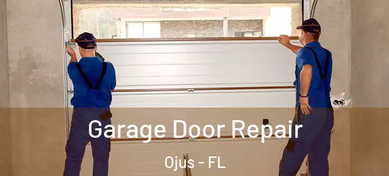 Garage Door Repair Ojus - FL