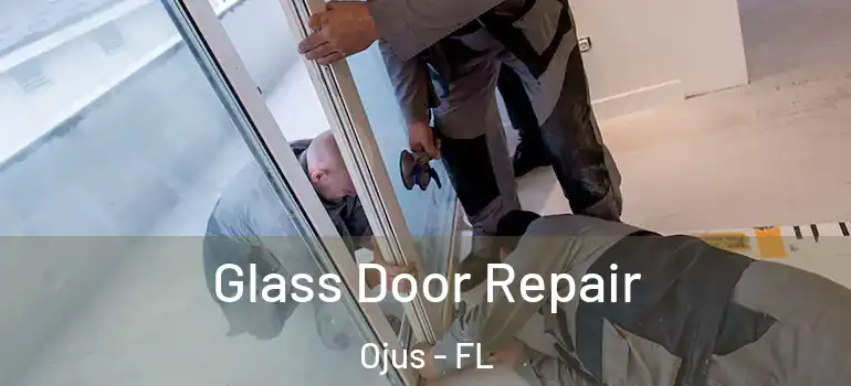 Glass Door Repair Ojus - FL