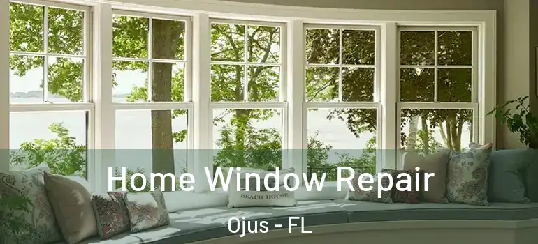 Home Window Repair Ojus - FL