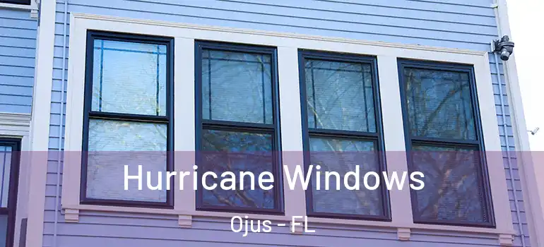 Hurricane Windows Ojus - FL