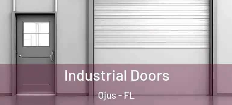 Industrial Doors Ojus - FL