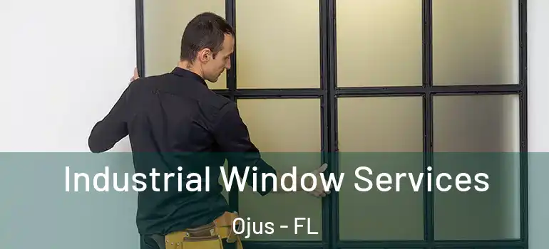 Industrial Window Services Ojus - FL