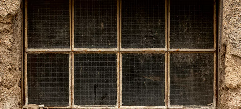 Traditional Double Front Doors in Ojus, FL