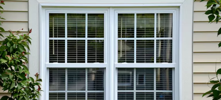 Custom Double Hung Windows in Ojus, FL