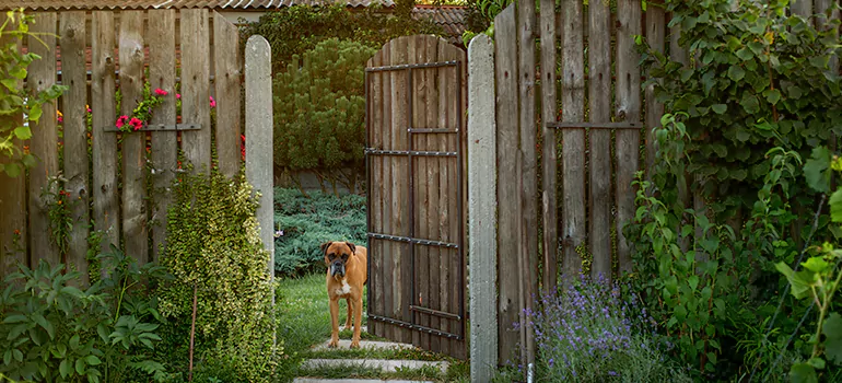 Winter Garden Garage Door Repair in Ojus,[location field=state]
