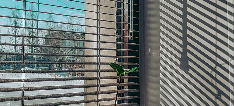Commercial Window Blinds in Ojus, FL