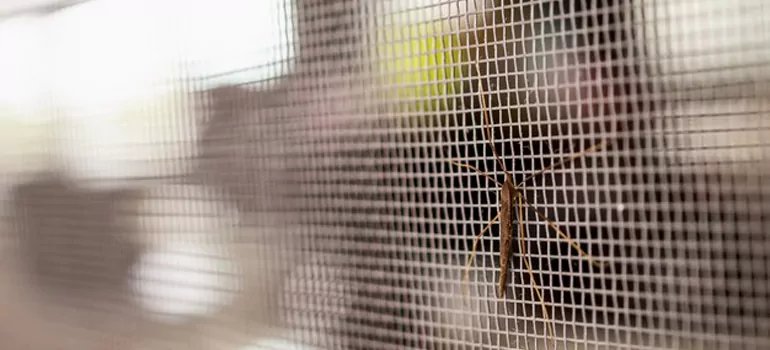 Repair Mosquito Mesh For Windows in Ojus, FL