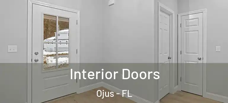 Interior Doors Ojus - FL