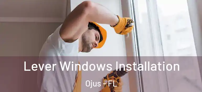 Lever Windows Installation Ojus - FL