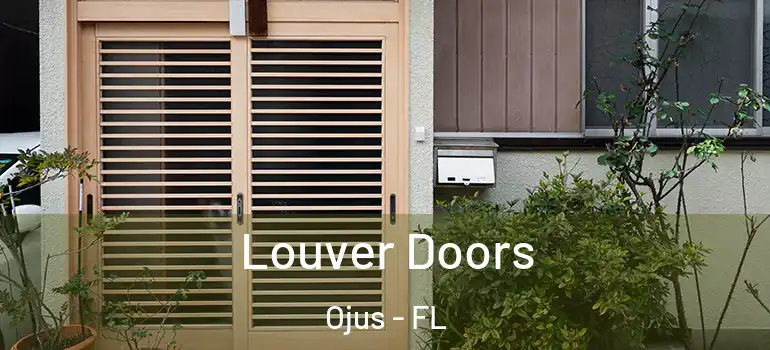 Louver Doors Ojus - FL