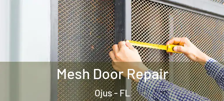 Mesh Door Repair Ojus - FL
