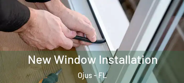 New Window Installation Ojus - FL