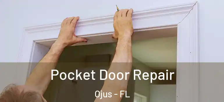 Pocket Door Repair Ojus - FL