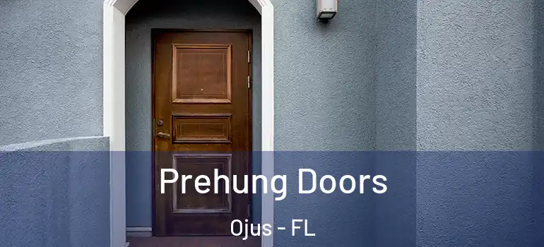Prehung Doors Ojus - FL