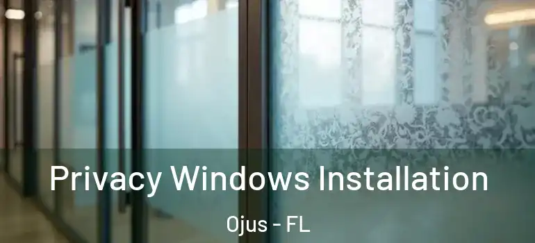 Privacy Windows Installation Ojus - FL