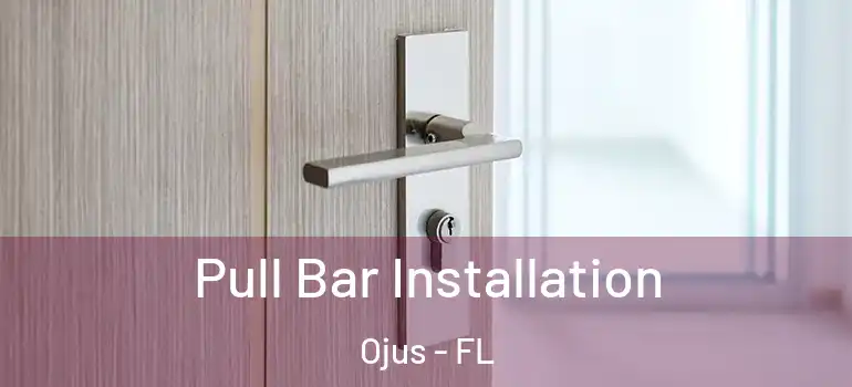 Pull Bar Installation Ojus - FL