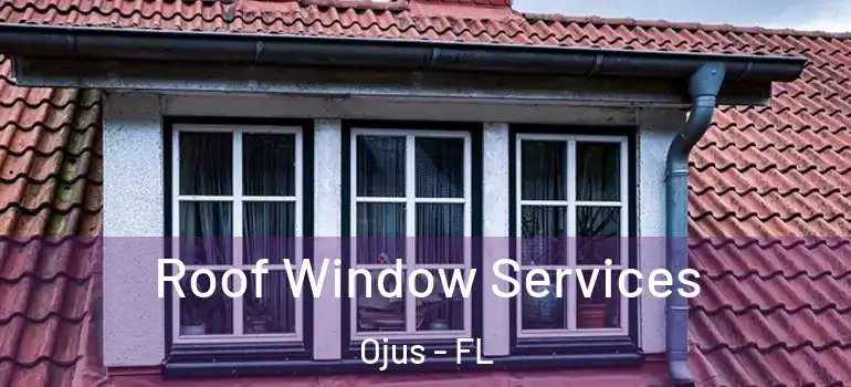 Roof Window Services Ojus - FL