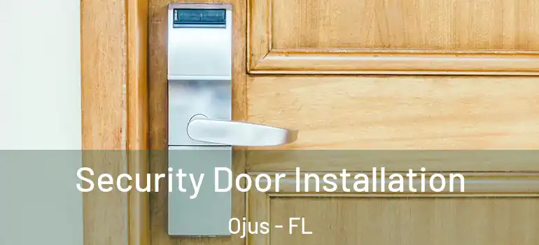 Security Door Installation Ojus - FL