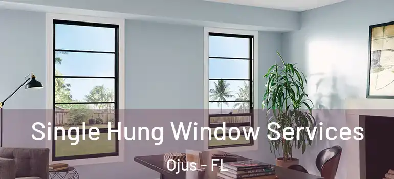 Single Hung Window Services Ojus - FL